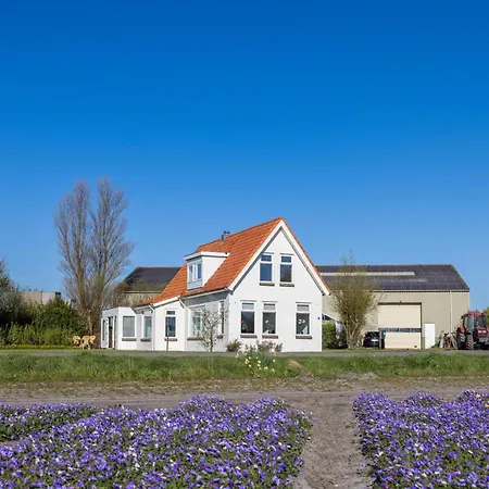 Feriehus Bollenzicht Breezand