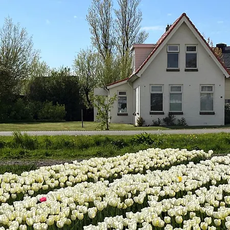 Bollenzicht Breezand (North Holland)